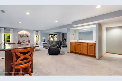 3209 Lightning Court, New Lenox, IL 60451 - Photo 31