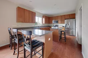 1387 Baroque Ave, Volo, IL 60073 - Photo 5