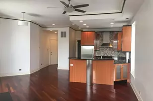 36 S Ashland Ave, Chicago, IL 60607 - Photo 3