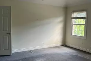 26665 S Kimberly Ln W, Channahon, IL 60410 - Photo 37