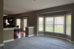 26665 S Kimberly Ln W, Channahon, IL 60410 - Photo 21