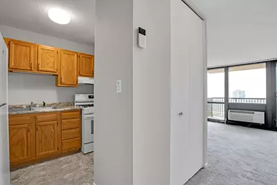 2901 S Michigan Avenue #1301, Chicago, IL 60616 - Photo 13
