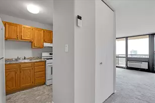 2901 S Michigan Ave, Chicago, IL 60616 - Photo 13