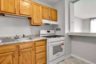 2901 S Michigan Avenue #1301, Chicago, IL 60616 - Photo 5