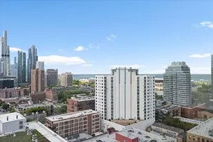 1720 S Michigan Ave, Chicago, IL 60616 - Photo 19