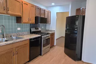 9264 Windsor Pkwy, Tinley Park, IL 60487 - Photo 11