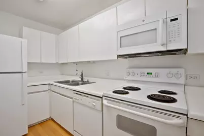 440 N Wabash Avenue #409, Chicago, IL 60611 - Photo 5