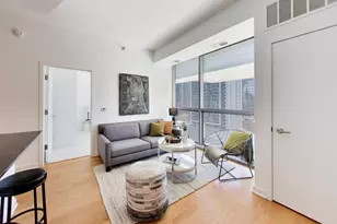 303 W Ohio St, Chicago, IL 60654 - Photo 7