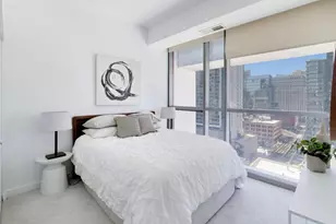 303 W Ohio St, Chicago, IL 60654 - Photo 11