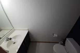 318 Zinnia Dr, Romeoville, IL 60446 - Photo 21
