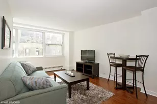 1150 N Lake Shore Dr, Chicago, IL 60611 - Photo 3