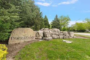 15909 Pairie View Ct, New Lenox, IL 60451 - Photo 31