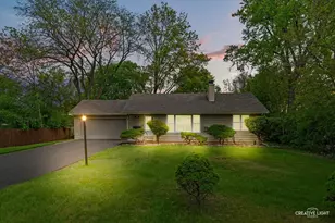 1638 Virginia St, Downers Grove, IL 60515 - Photo 23
