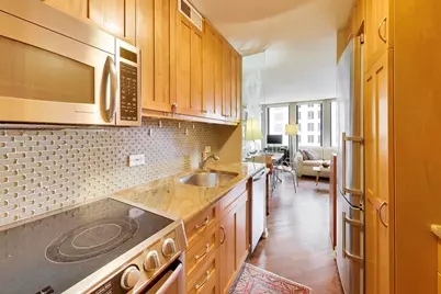 100 E Walton Street #38C, Chicago, IL 60611 - Photo 15
