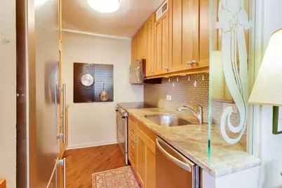 100 E Walton Street #38C, Chicago, IL 60611 - Photo 13
