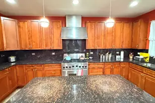 422 W 42nd Pl, Chicago, IL 60609 - Photo 17