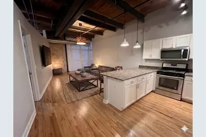 420 W Ontario Street #308, Chicago, IL 60610 - Photo 9