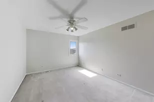 384 Du Pahze St, Naperville, IL 60565 - Photo 19