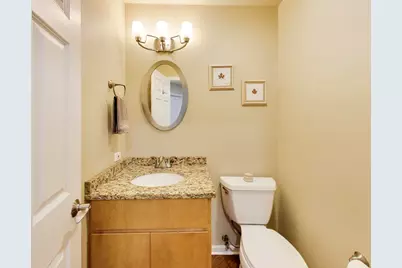384 Du Pahze Street, Naperville, IL 60565 - Photo 11