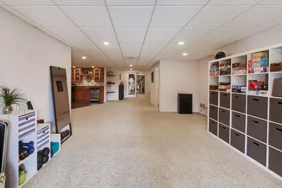 384 Du Pahze Street, Naperville, IL 60565 - Photo 23