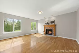 169 Woodlet Ln, Bolingbrook, IL 60490 - Photo 9