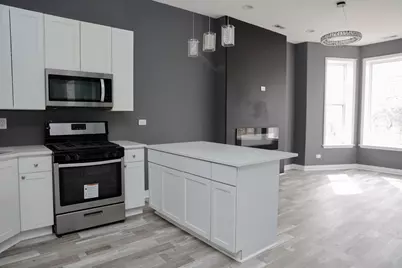 1253 S Millard Avenue, Chicago, IL 60623 - Photo 17
