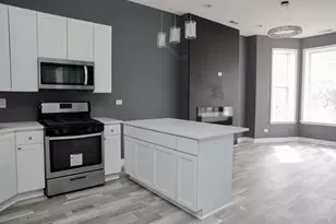 1253 S Millard Ave, Chicago, IL 60623 - Photo 17