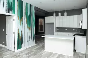 1253 S Millard Ave, Chicago, IL 60623 - Photo 15