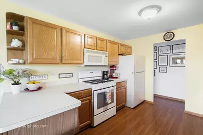 19423 Manchester Drive #19423, Mokena, IL 60448 - Photo 9