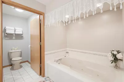 19423 Manchester Drive #19423, Mokena, IL 60448 - Photo 17