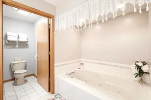 19423 Manchester Dr, Mokena, IL 60448 - Photo 17