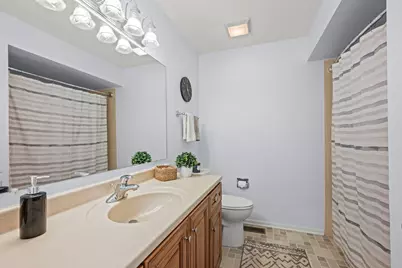 163 Denberry Court, Lake Zurich, IL 60047 - Photo 17