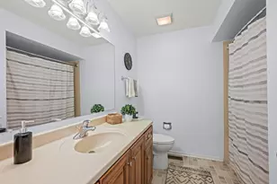 163 Denberry Ct, Lake Zurich, IL 60047 - Photo 17