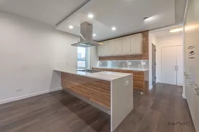 1921 S Jefferson Street #2, Chicago, IL 60616 - Photo 7