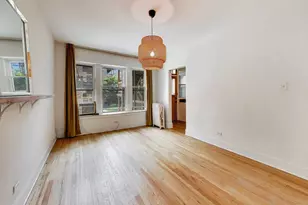 1231 E 53rd St, Chicago, IL 60615 - Photo 29