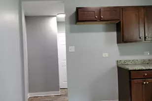 1344 W 98th Pl, Chicago, IL 60643 - Photo 13