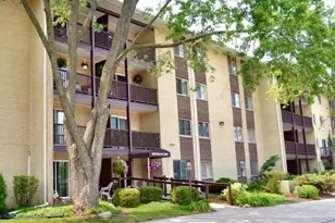 650 Murray Ln, Des Plaines, IL 60016 - Photo 1