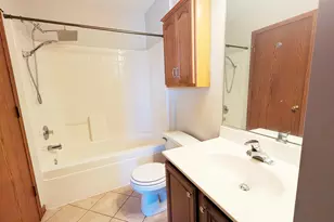 1713 Fieldstone Dr N, Shorewood, IL 60404 - Photo 13