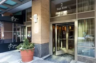 2 E Erie St, Chicago, IL 60611 - Photo 9