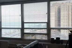 4800 S Chicago Beach Dr, Chicago, IL 60615 - Photo 15