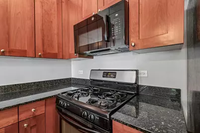 974 W 35th Place #202, Chicago, IL 60609 - Photo 15