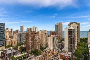 1030 N State St, Chicago, IL 60610 - Photo 11