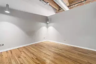 2310 S Canal St, Chicago, IL 60616 - Photo 13