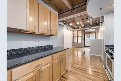 2310 S Canal Street #310, Chicago, IL 60616 - Photo 7