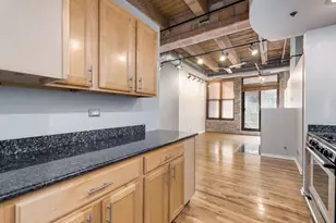 2310 S Canal St, Chicago, IL 60616 - Photo 7