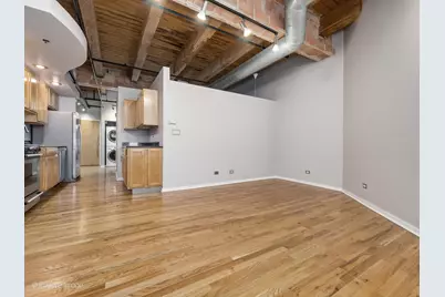2310 S Canal Street #310, Chicago, IL 60616 - Photo 5