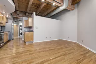 2310 S Canal St, Chicago, IL 60616 - Photo 5