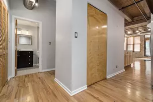 2310 S Canal St, Chicago, IL 60616 - Photo 11