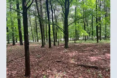 Lot 147 Parrish Ridge, Orangeville, IL 62939 - Photo 9