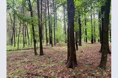 Lot 147 Parrish Ridge, Orangeville, IL 62939 - Photo 11